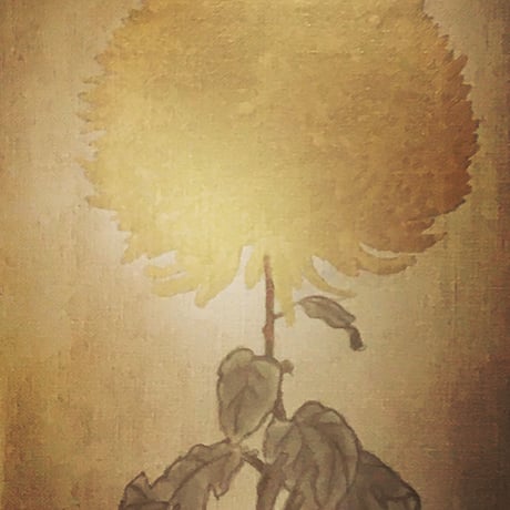 菊