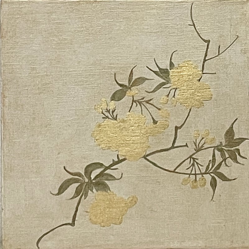 46㎝角「櫻2024」油彩・原画・S8 46㎝角「櫻2024」油彩・原画・S8