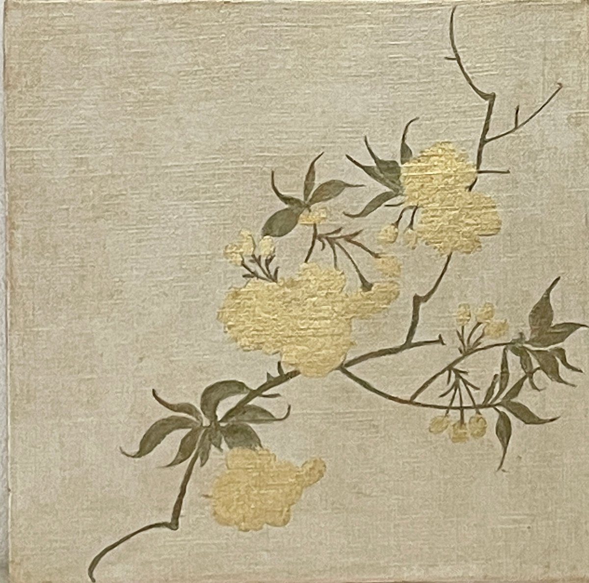 46㎝角「櫻2024」油彩・原画・S8 46㎝角「櫻2024」油彩・原画・S8 46㎝角「櫻2024」油彩・原画・S8