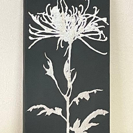 菊　3