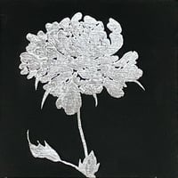 芍薬23 サンプル品