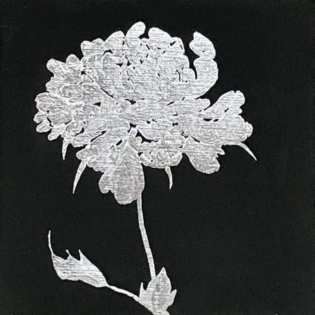 芍薬23