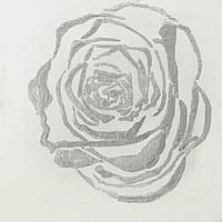 Rosa  5