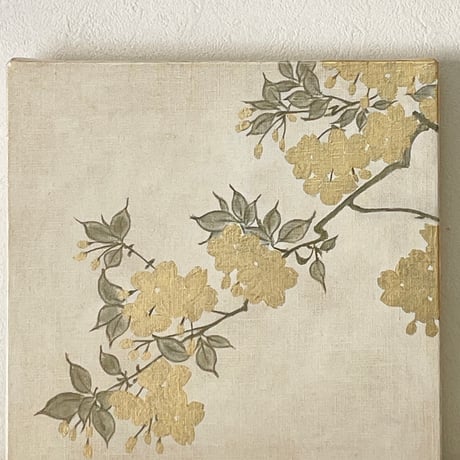 桜27-2