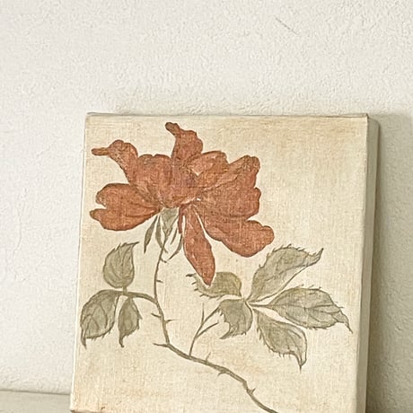 赤い薔薇1