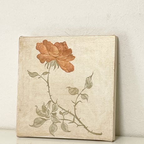 Rosa 2