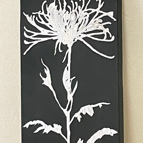 菊　3
