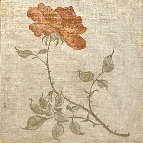 Rosa 2