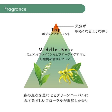 サブリミック フェンテフォルテ シャンプー DD：フケ・かゆみのある頭皮用 250mL/500mL/450mL(レフィル)