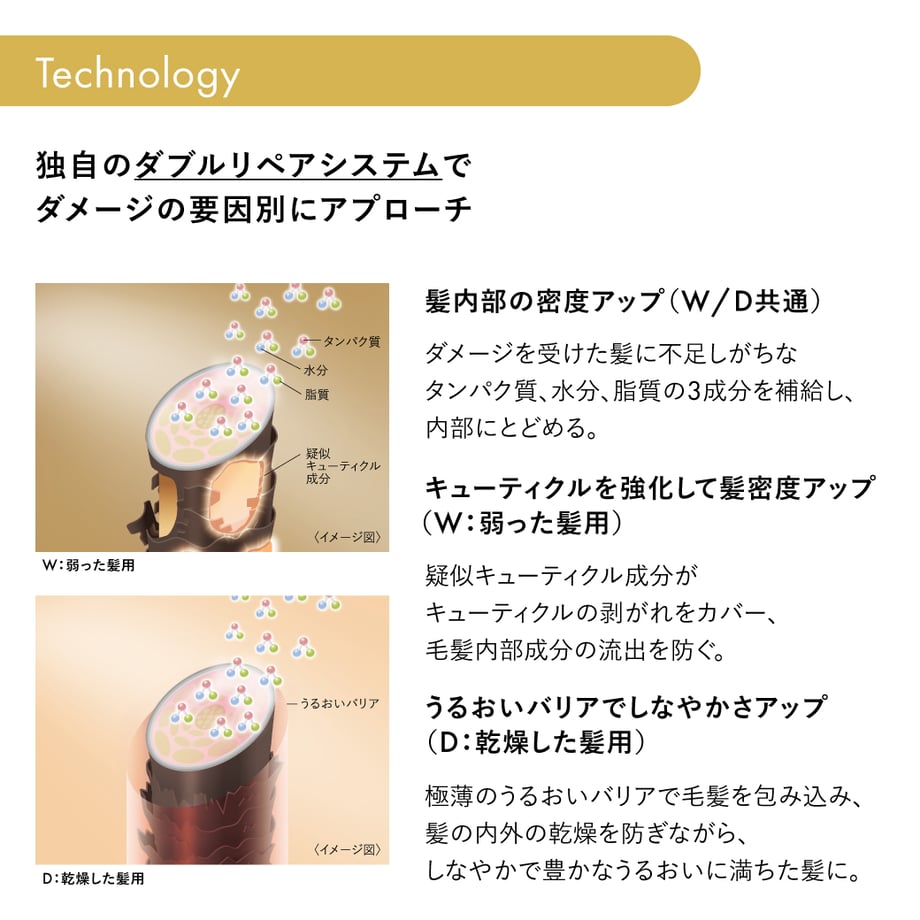 5e946fad9931217ecd20253f