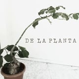 DE LA PLANTA REINO