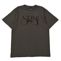 Smoke Logo S/S Tee Shirts (Hazy Black)