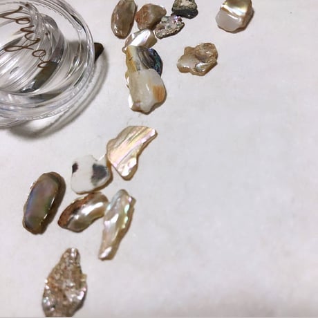 【シェル】corail bijou shells：コーラルビジューシェルス