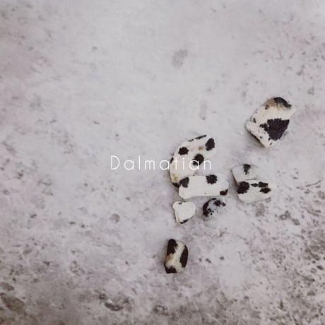 Dalmatian