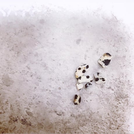 Dalmatian