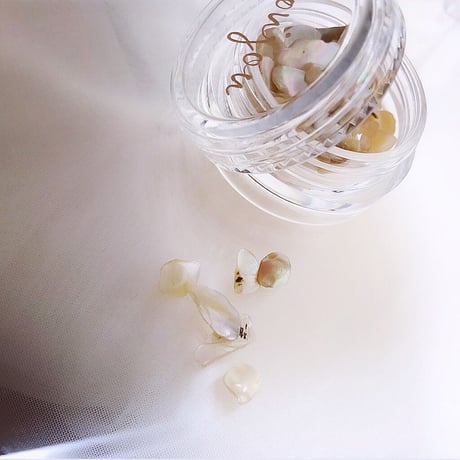 Bijou shells  / nude