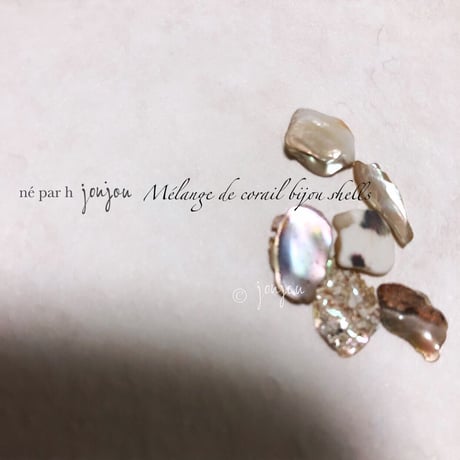 【シェル】corail bijou shells：コーラルビジューシェルス