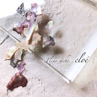 Fleur séche / cloé