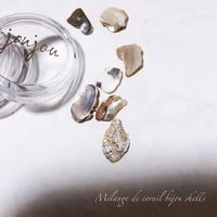 【シェル】corail bijou shells：コーラルビジューシェルス