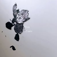 Flou / fumée