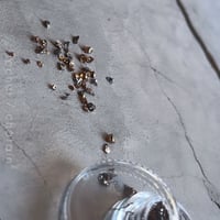 rocher / châtain