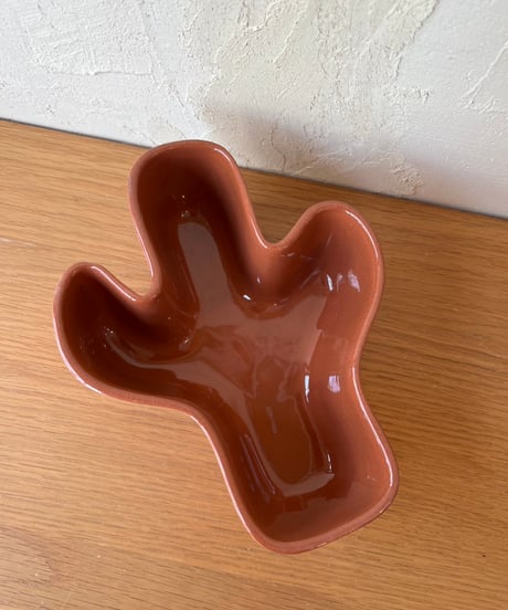 みんな大好き🌵の器