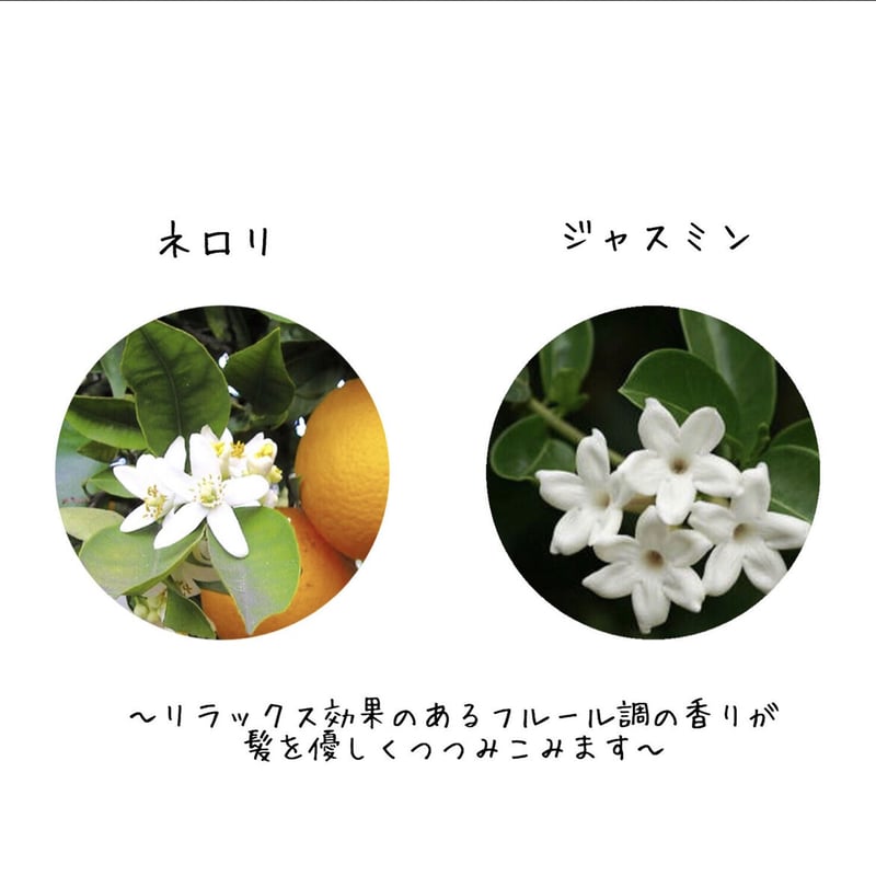 vi-ta シャンプー 250ml | vi-ta hair design STORE