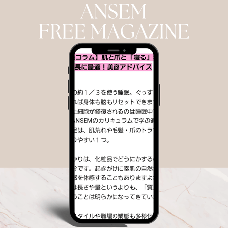 2026年ANSEM個人会員申し込み
