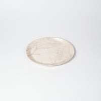 Satoko Sai + Tomoko Kurahara / Garden Oval plate / L (実物写真3-383)