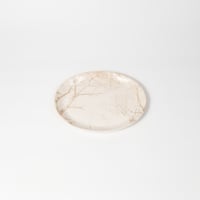 Satoko Sai + Tomoko Kurahara / Garden Oval plate / L (実物写真3-283)