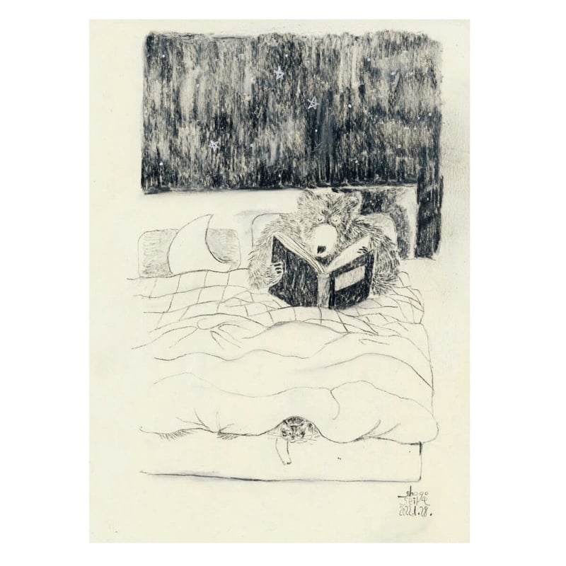 清家正悟 せいけしょうご ベニヤ A4サイズ 【公式通販】