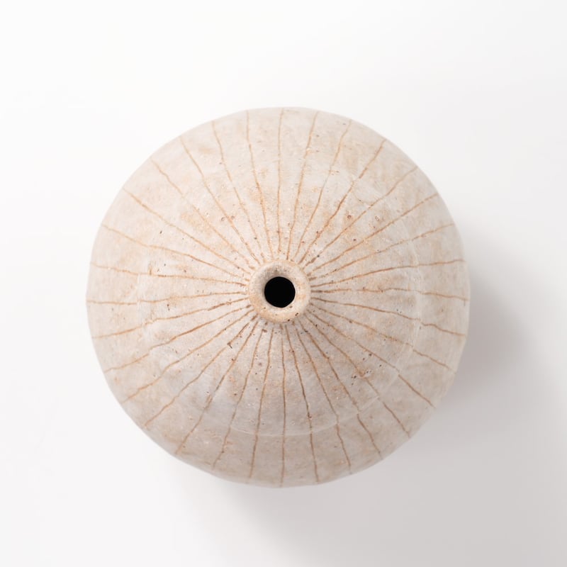 高田かえさん　白いお皿25cm（2枚） 高田かえさん 白いお皿25cm（2枚） 高田かえさん 白いお皿25cm（