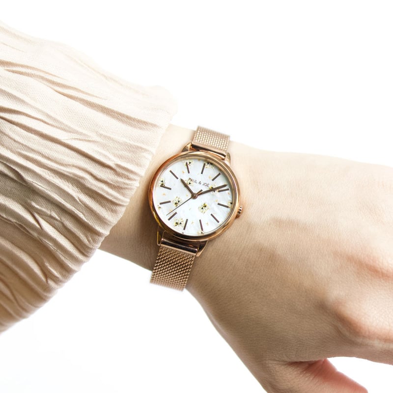 AGATHA PARIS ベルト新品 電池入り テリア シルバー PAUL & JOE / BLUE EYE CAT Gipsy / PJ7727-BS04