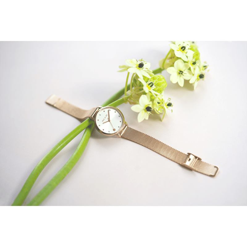 母の日プレゼントキャンペーン】PAUL & JOE / Print Strap Series 母の日プレゼントキャンペーン】PAUL & JOE / Print Strap Series
