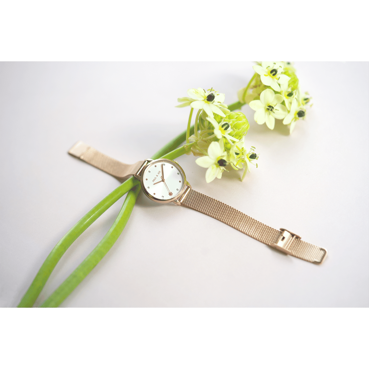 時計 PAUL&JOEBloomingChrysanthemum PJ7727-B44 PAUL&JOEBloomingChrysanthemum PJ7727-B44 - メルカリ