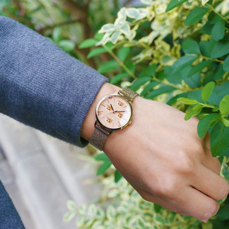 PAUL&JOE 8点セット ポール ＆ ジョー ポーチ＆ハンドクリームセット（パッケージ入り