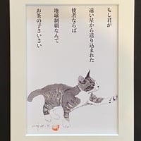 川上麻衣子猫イラスト画と言葉