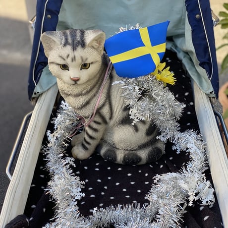 SWEDEN GRACE＆一般社団法人「ねこと今日」よりMESSEGE