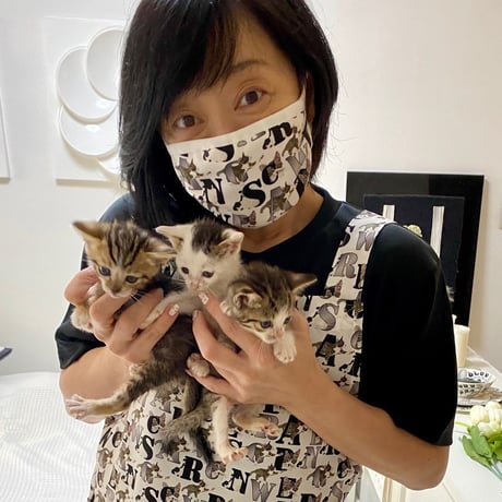 SWEDEN GRACE＆一般社団法人「ねこと今日」よりMESSEGE