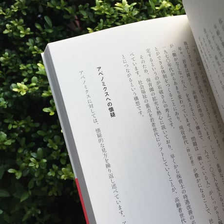 中島岳志｜自民党 -価値とリスクのマトリクス-