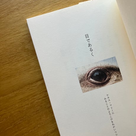 マーシャ・ブラウン＝文と写真、谷川俊太郎＝訳｜目であるく、かたちをきく、さわってみる。