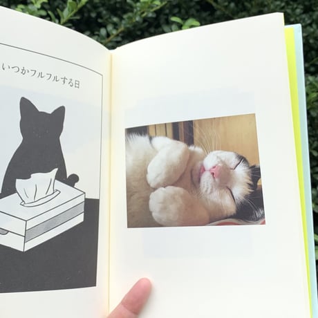 水沢そら｜ちゃっくん