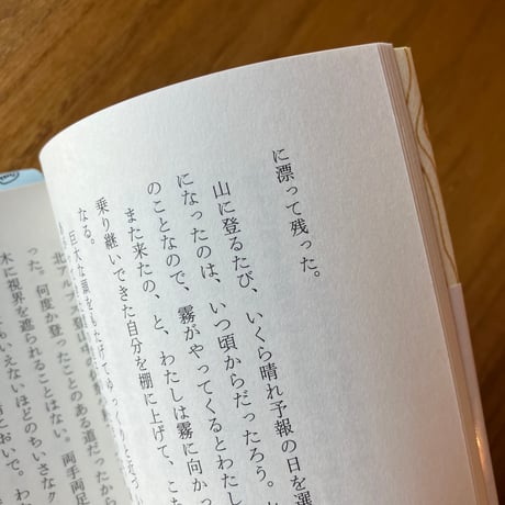 大崎清夏｜湖まで