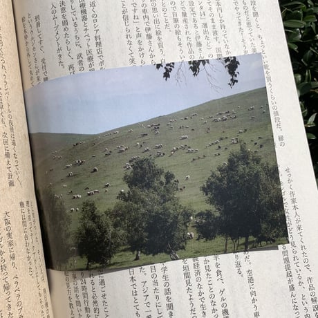 伊藤洋志 | 羊と自分が同じ直線上にいる