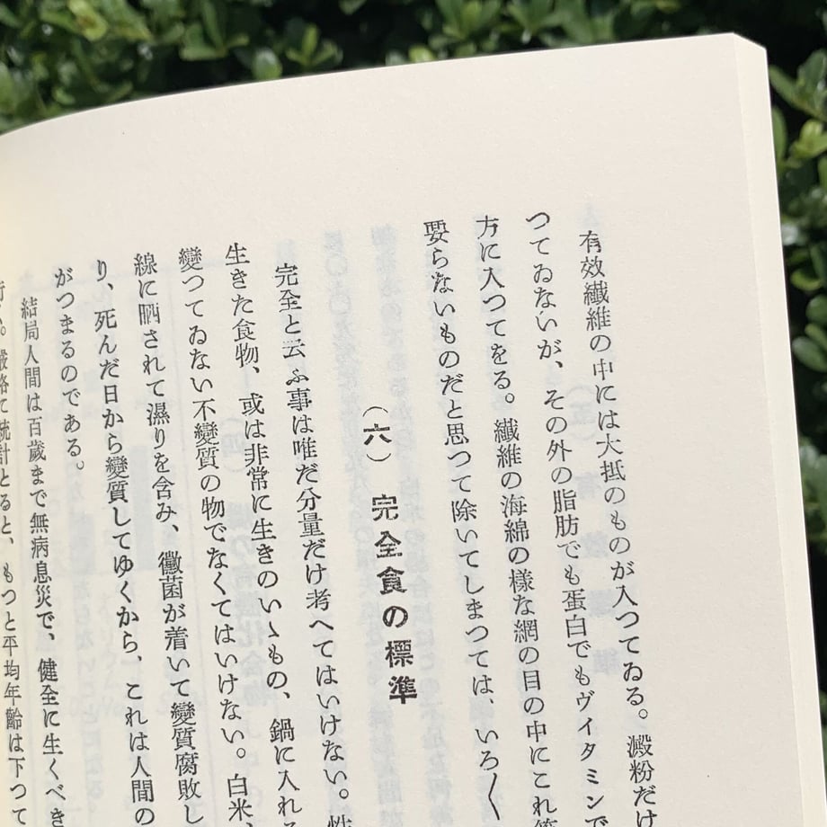 64ed8337bd758c00305aa806