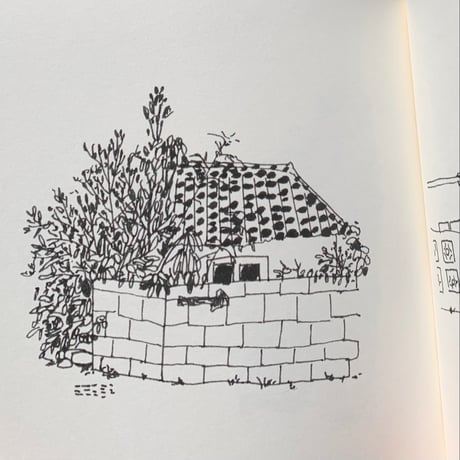 山口まりか｜Landscapes in Lines