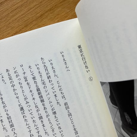 こだま、いりえ｜虫の時間 往復書簡 こだまといりえ
