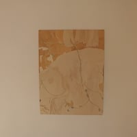 土屋未久｜貝を編む（作品）