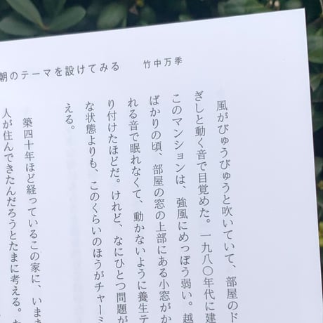 竹中万季　野村由芽｜me and youの日記文通 message in a bottle vol.2