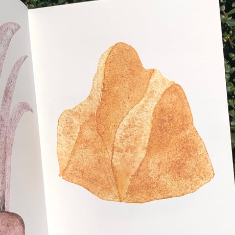 伊藤眸｜DOSOJIN Zine